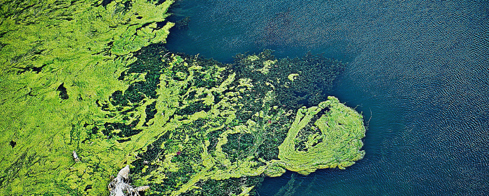 数据丰富、支持共享