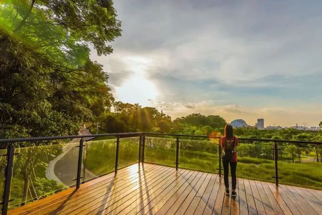 创新社会治理 | 桂城获奖公园背后还隐藏着秘密